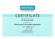 Карасева Алина Александровна