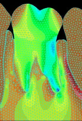 Научно-производственное объединение центр лечения заболевания пародонта
