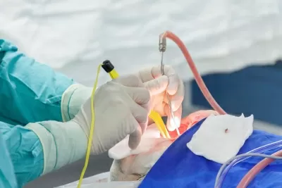 Городская клиническая больница № 40