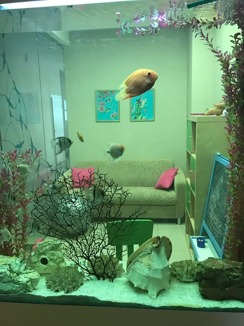 Стоматологическая клиника Колибри