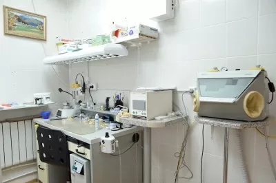 ВИП стоматология-косметология