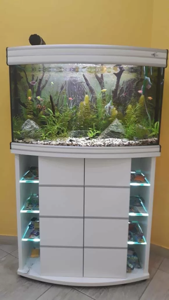 Доктор Дент