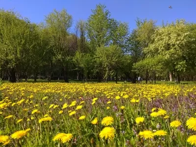 Железнодорожная отделенческая больница
