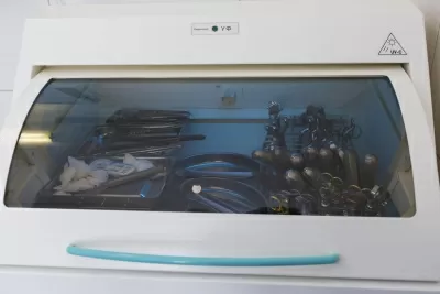 Вербена-Дент