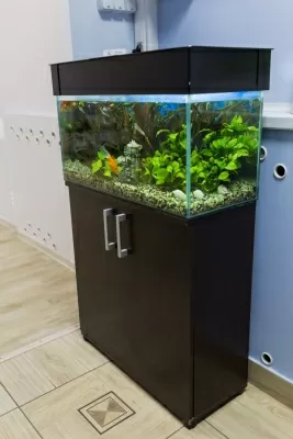 Добрый стоматолог