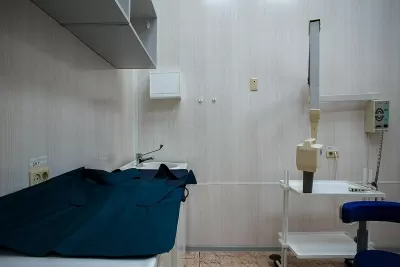 Альтернатива