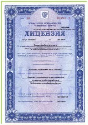 Зеленое яблоко