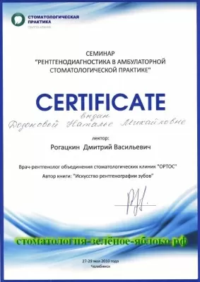 Зеленое яблоко