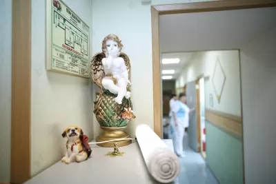 Стоматология Степановой Елены