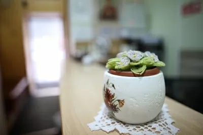 Стоматология Степановой Елены