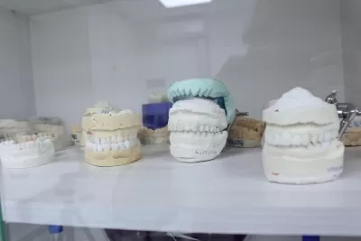 Моя Стоматология