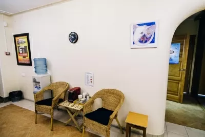 Стоматологическая клиника Белый Слон