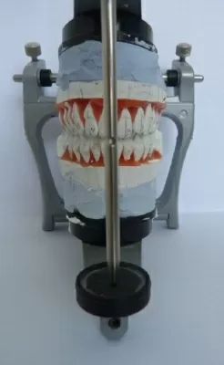 Стоматологическая клиника Омской Государственной Медицинской Академии