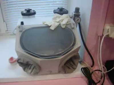 Стоматология