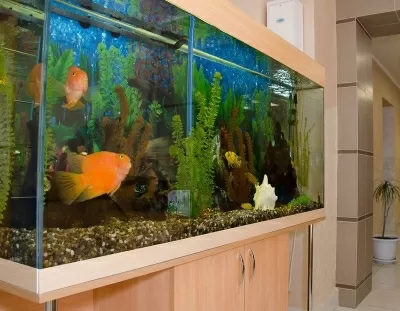 ЕвроМед клиника