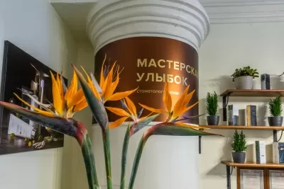 Мастерская Улыбок