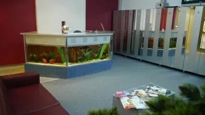 Голден Дент