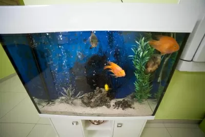 Стоматология Mira