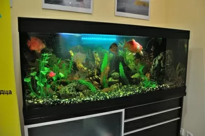 Многопрофильный медицинский центр Эдкар Мед