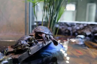 ЦЕНТРОДЕНТ