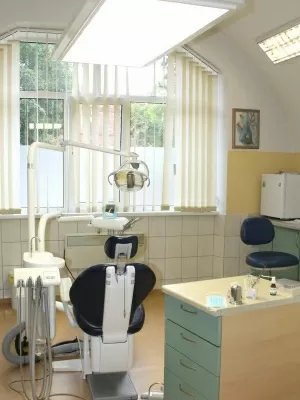 Белый Слонъ