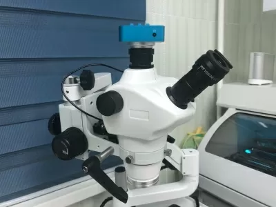 Здоровые зубы