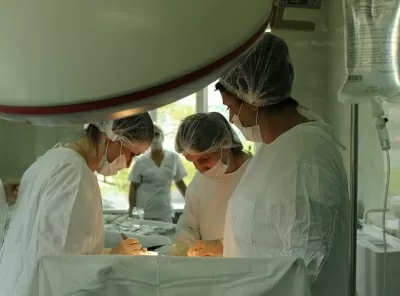 Первомайского района владивостокский клинический родильный дом № 3