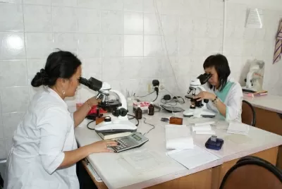 Городская поликлиника № 2