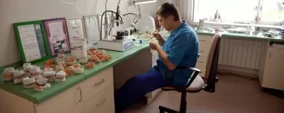 Стиль-сервис