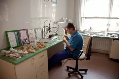 Стиль-сервис