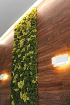 ЕвроСтоматология