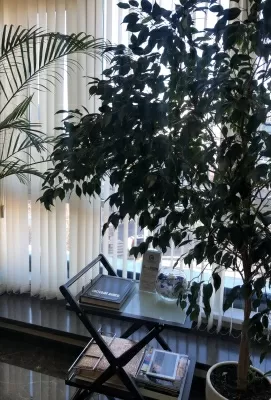 Стоматолог и Я