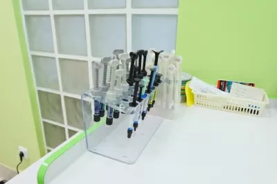 Белая Ворона