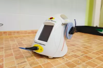 Белая Ворона