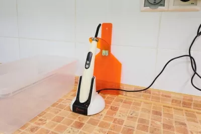 Белая Ворона