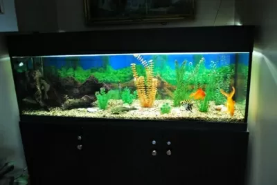 Калужская областная детская стоматологическая поликлиника