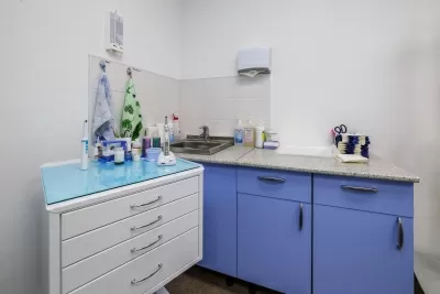 Оптима Дент