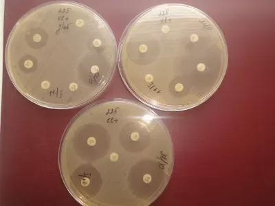 Инфекционная клиническая больница № 1