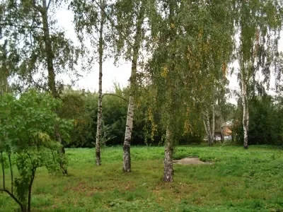 Инфекционная клиническая больница № 1