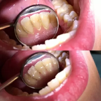 Стоматология Белый Слон