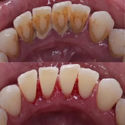 Стоматология Белый Слон