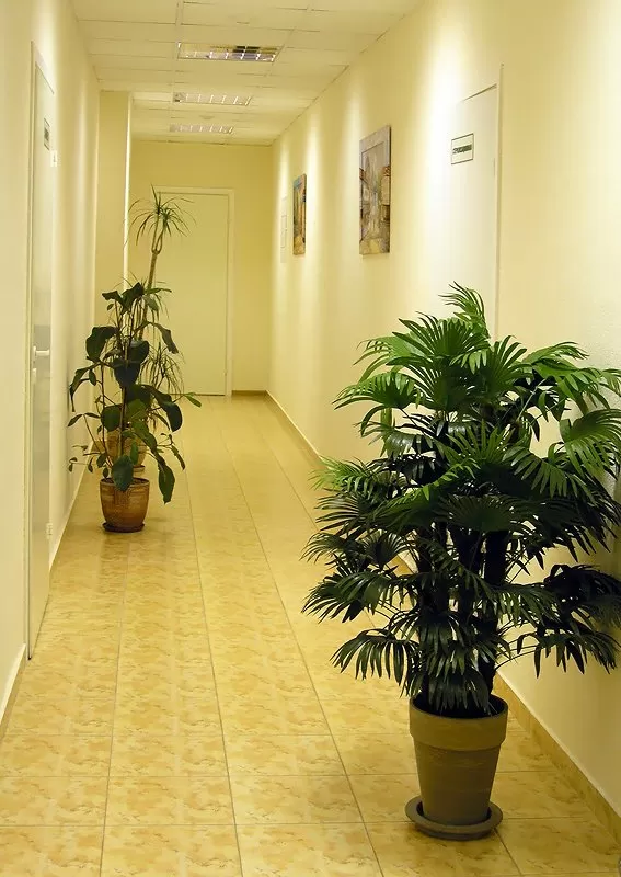 Клиника Семейной Стоматологии