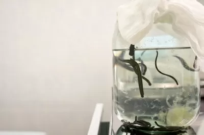 Семейная клиника Мама, Папа, Я