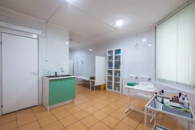 Доктор рядом