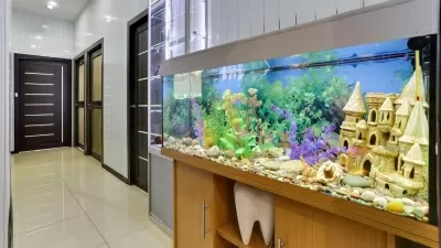 СОЛАНЖДЕНТ