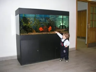 Детская клиника Медси