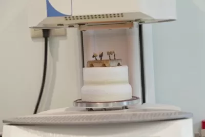 Стеллс-Стом