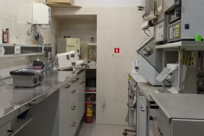 Стеллс-Стом