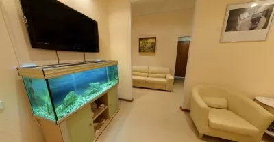 Улыбки будущего