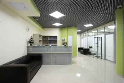 Доктор Анна